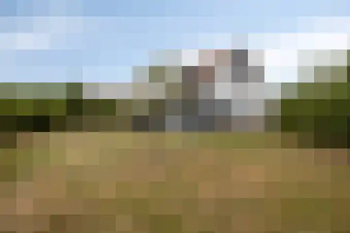 Klein Vink 4 2328 Arcen thumbnail 37