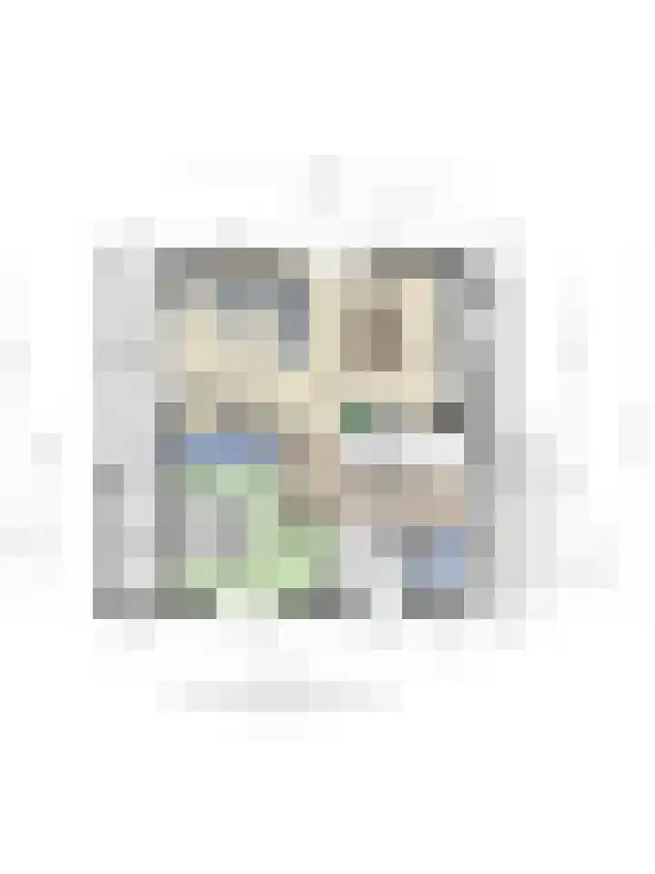 Klein Vink 4 2328 Arcen thumbnail 39