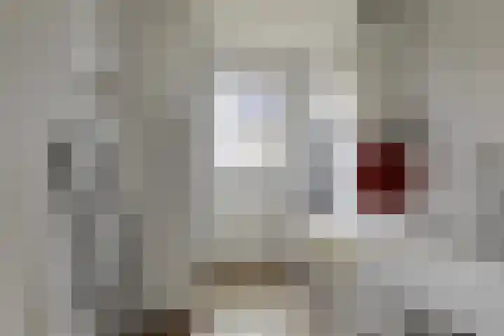 Klein Vink 4 2333 Arcen thumbnail 18