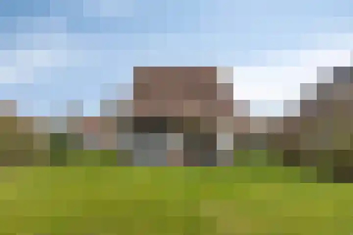 Klein Vink 4 2333 Arcen thumbnail 20