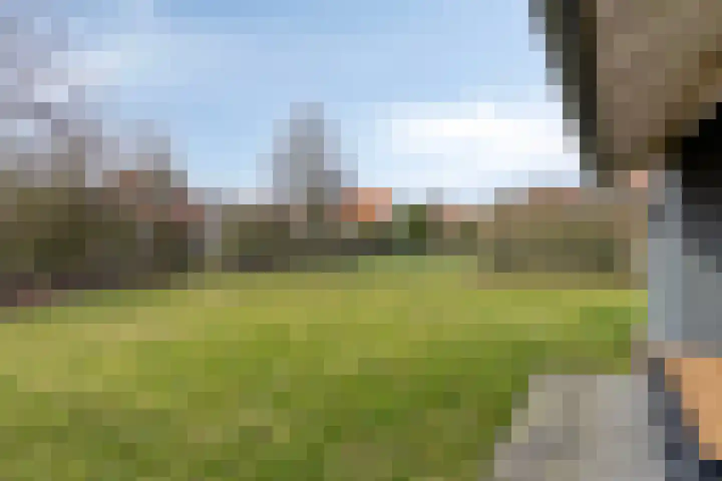 Klein Vink 4 2333 Arcen thumbnail 22