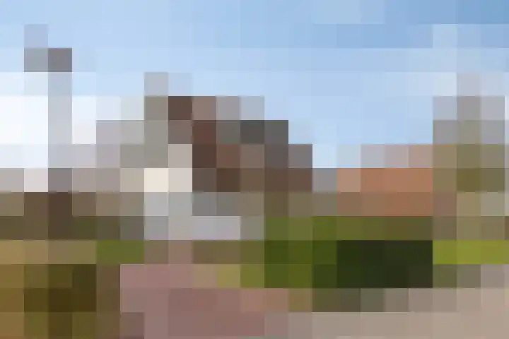 Klein Vink 4 2333 Arcen thumbnail 23