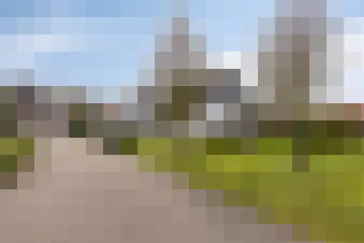 Klein Vink 4 2333 Arcen thumbnail 24