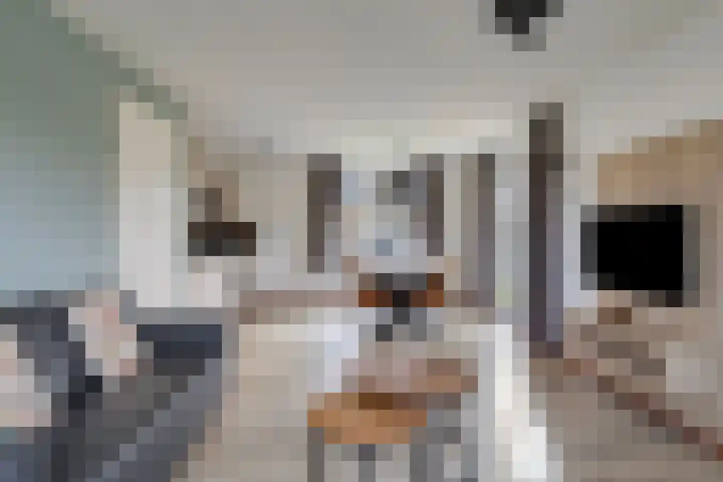 Klein Vink 4 2333 Arcen thumbnail 6