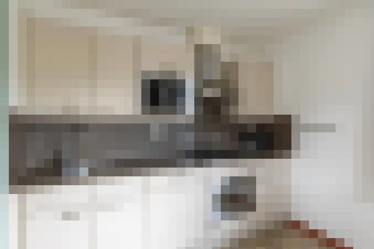 Klein Vink 4 2333 Arcen thumbnail 8