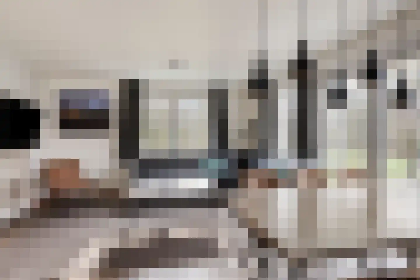 Klein Vink 4 2336 Arcen thumbnail 11