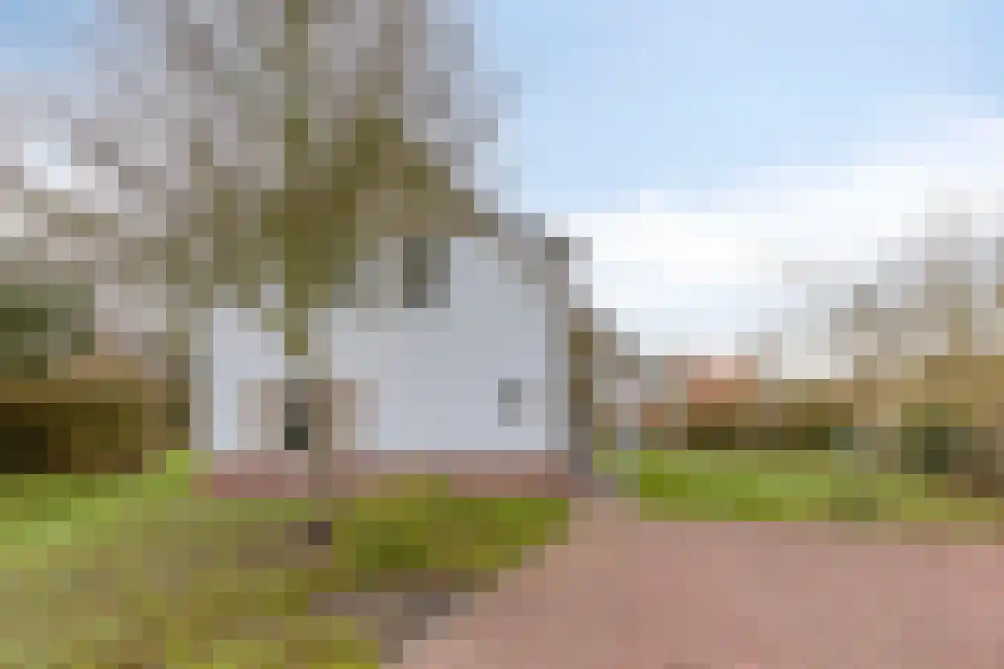 Klein Vink 4 2336 Arcen thumbnail 4