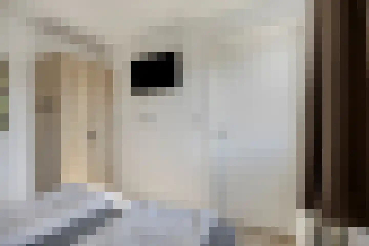 Klein Vink 4 2342 Arcen thumbnail 14