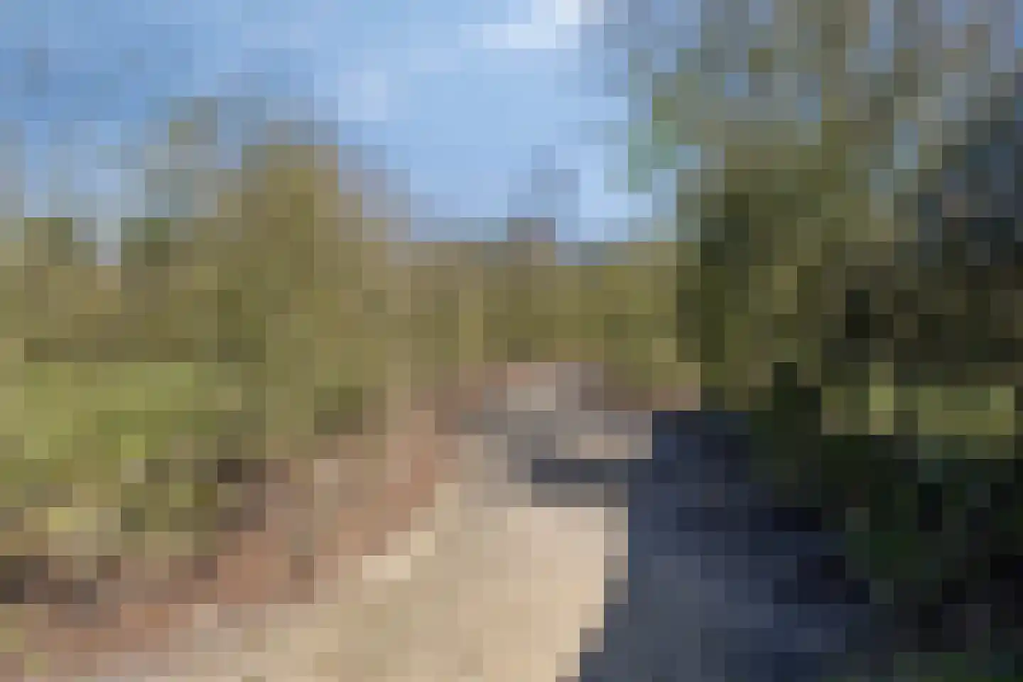 Klein Vink 4 2342 Arcen thumbnail 26