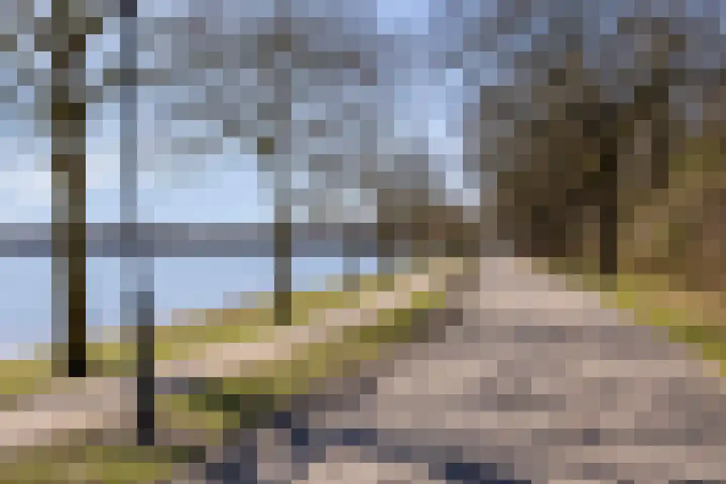 Klein Vink 4 2342 Arcen thumbnail 30