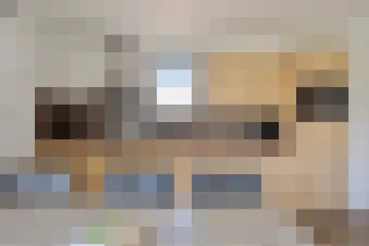 Klein Vink 4 2346 Arcen thumbnail 10