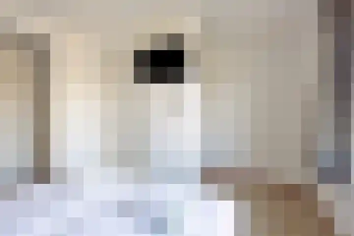 Klein Vink 4 2346 Arcen thumbnail 12