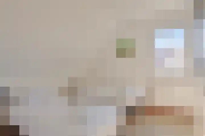 Klein Vink 4 2346 Arcen thumbnail 26