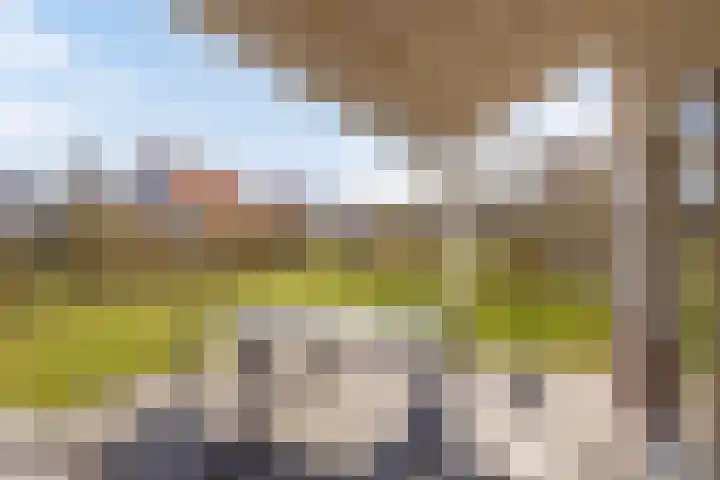 Klein Vink 4 2346 Arcen thumbnail 29