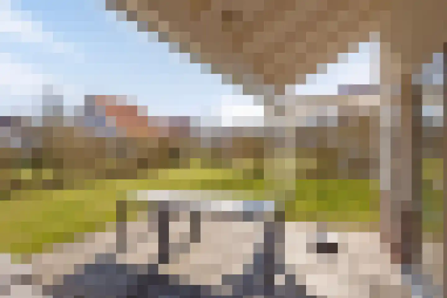 Klein Vink 4 2346 Arcen thumbnail 29