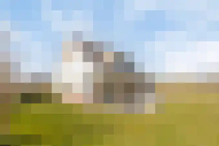 Klein Vink 4 2346 Arcen thumbnail 30