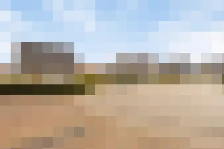 Klein Vink 4 2346 Arcen thumbnail 31