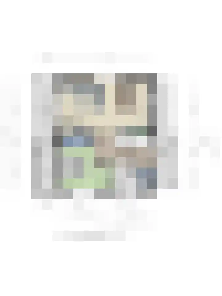 Klein Vink 4 2346 Arcen thumbnail 33