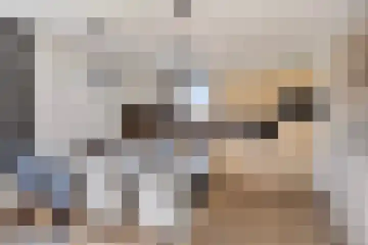 Klein Vink 4 2346 Arcen thumbnail 9