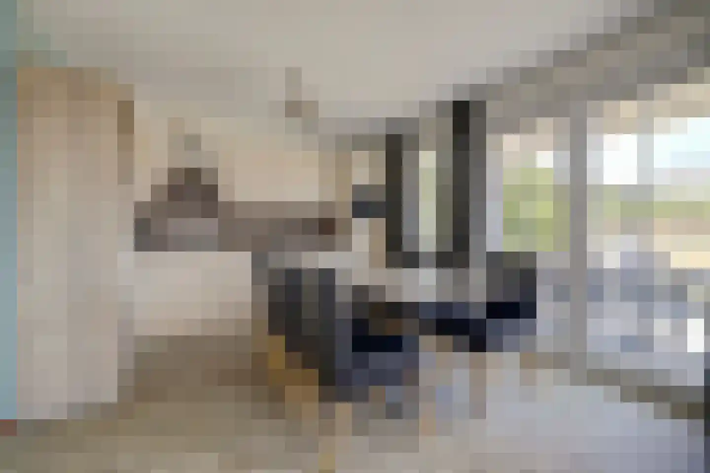 Klein Vink 4 2397 Arcen thumbnail 13