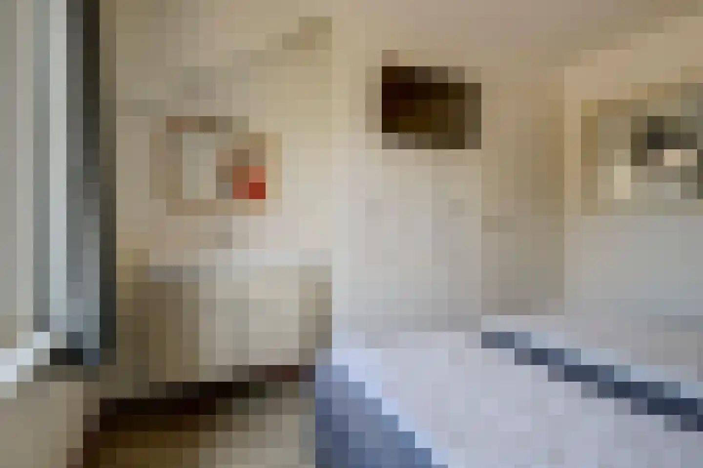 Klein Vink 4 2397 Arcen thumbnail 19