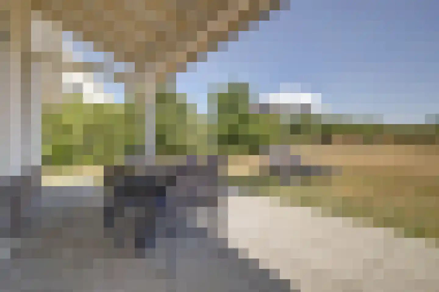 Klein Vink 4 2397 Arcen thumbnail 27