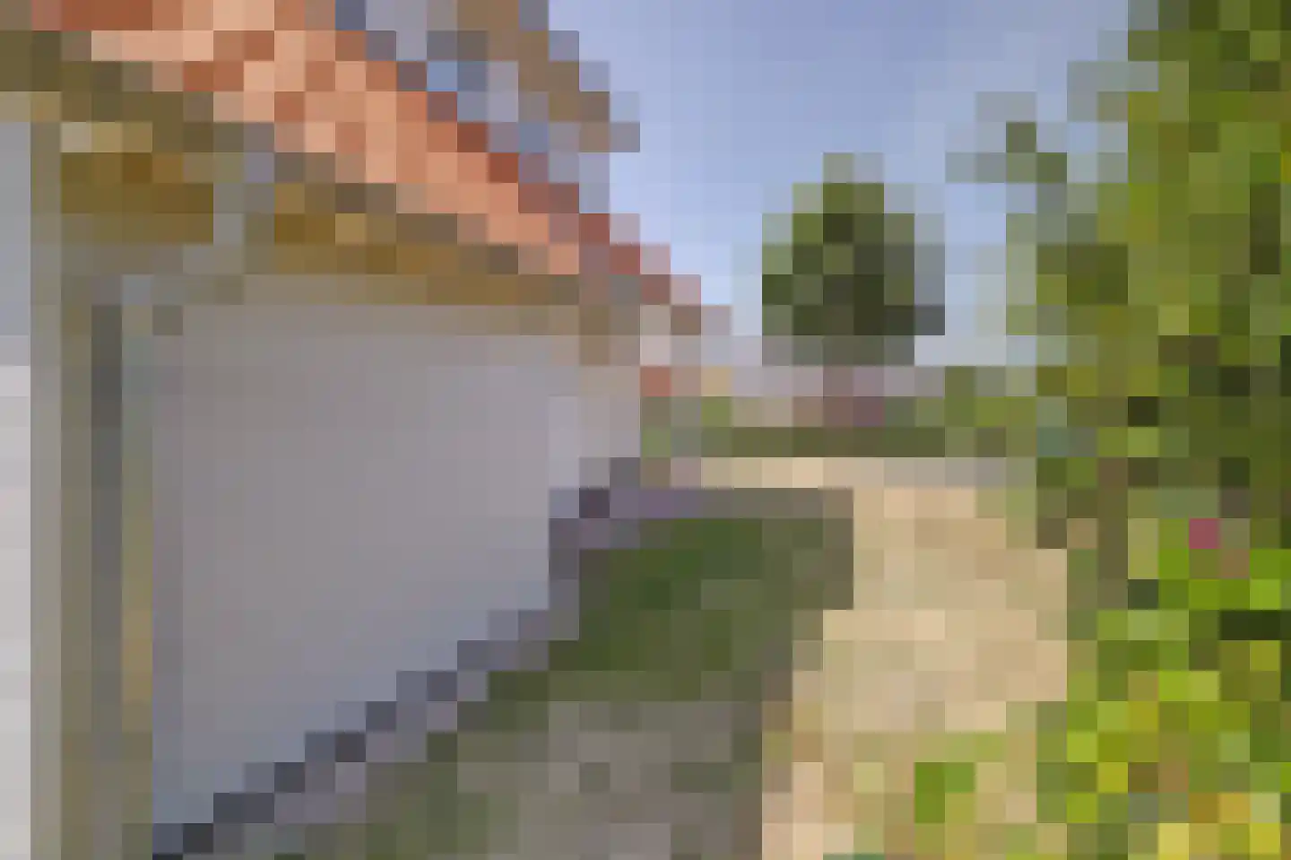 Klein Vink 4 2397 Arcen thumbnail 30
