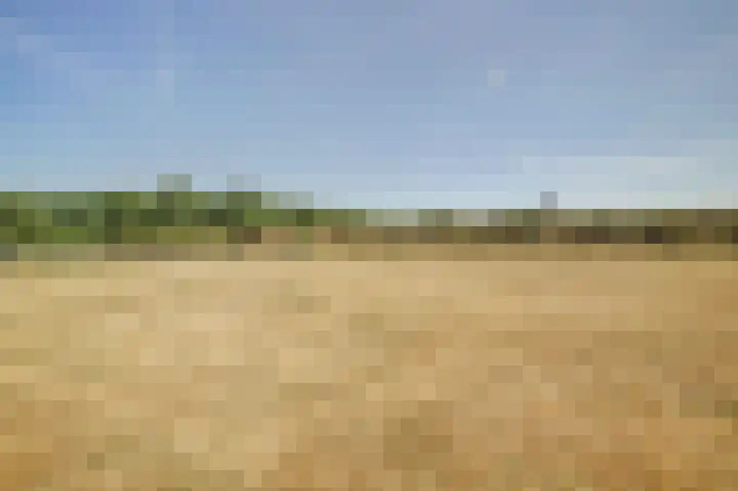 Klein Vink 4 2397 Arcen thumbnail 31