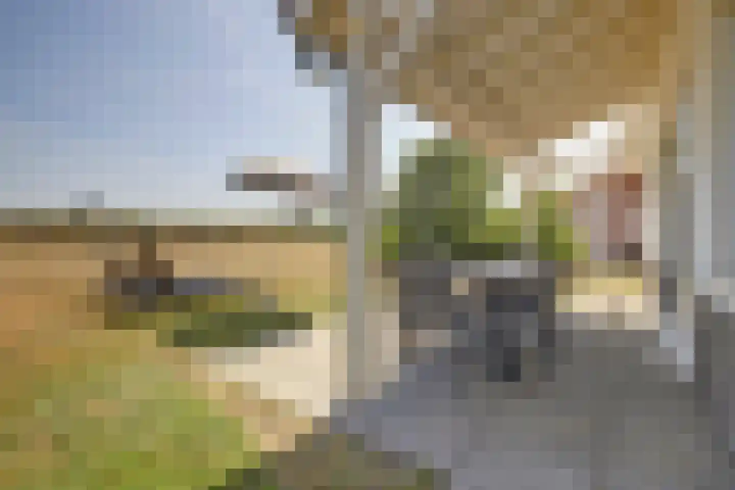 Klein Vink 4 2397 Arcen thumbnail 4