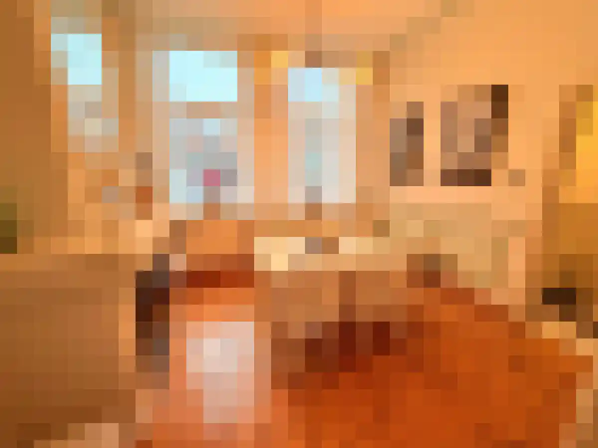 Klein Vlaanderen 19 Middelburg thumbnail 4