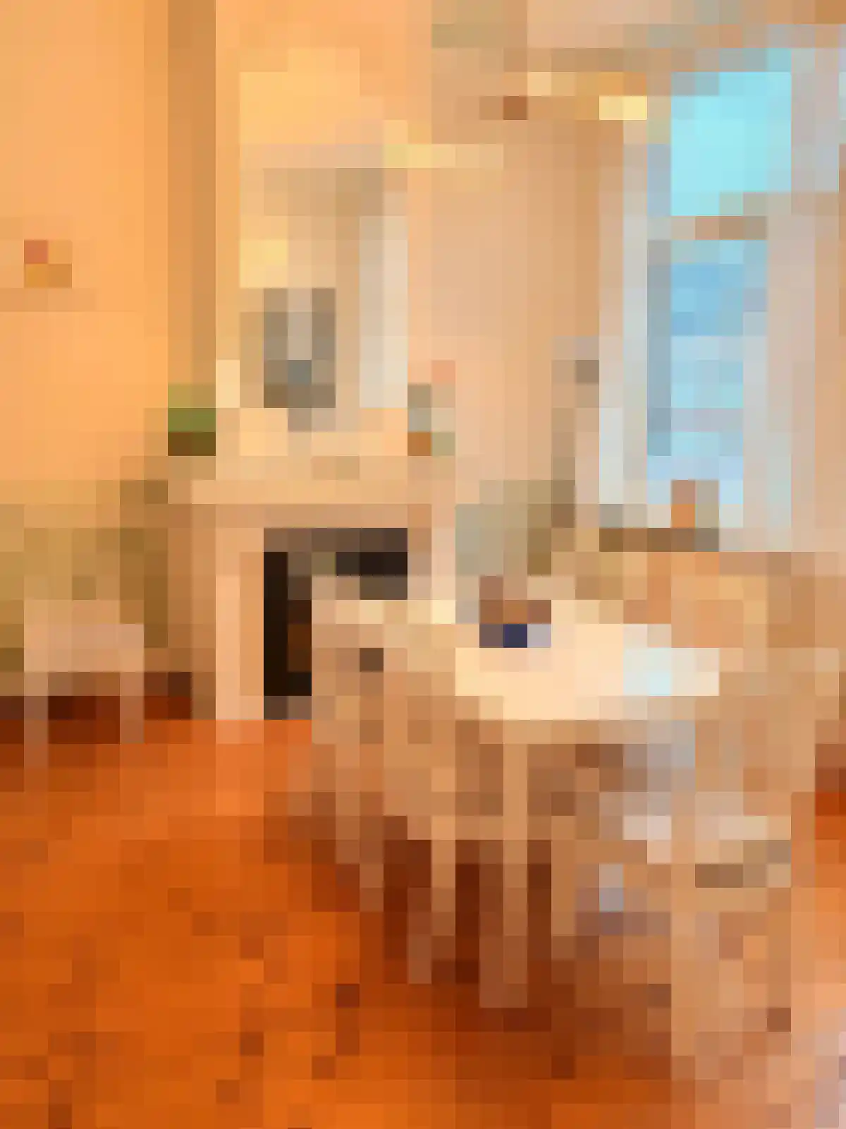 Klein Vlaanderen 19 Middelburg thumbnail 5