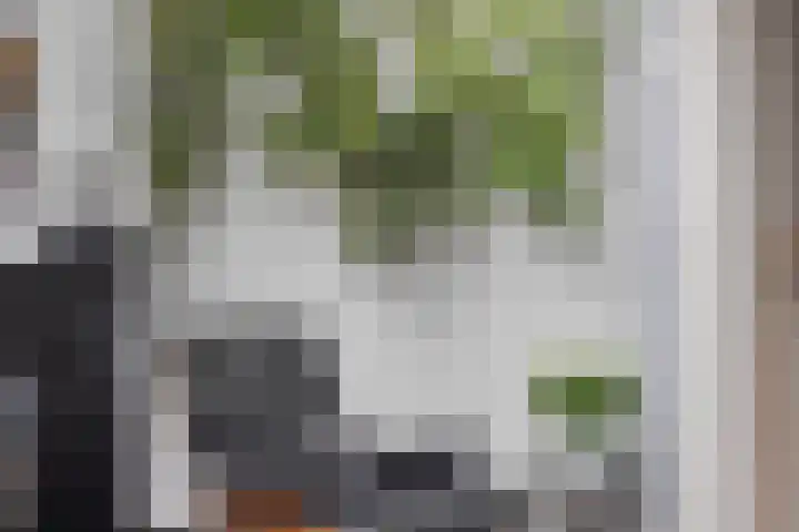 Klein Vlaanderen 3 A Middelburg thumbnail 18