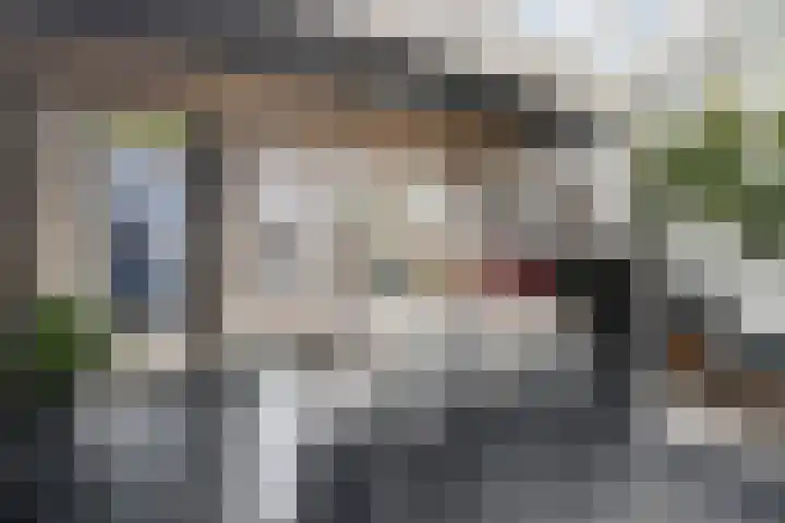 Klein Vlaanderen 3 A Middelburg thumbnail 22