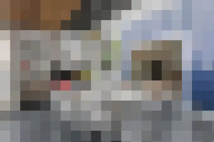 Klein Vlaanderen 3 A Middelburg thumbnail 27
