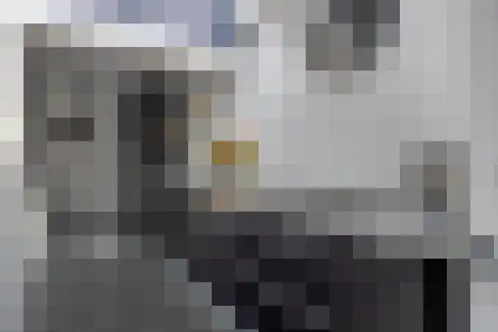 Klein Vlaanderen 3 A Middelburg thumbnail 28