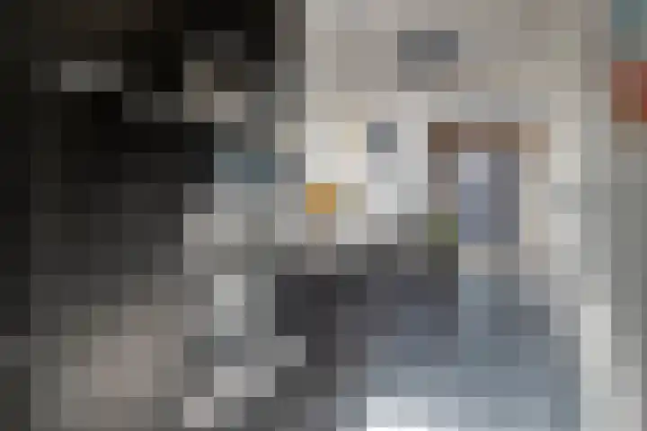 Klein Vlaanderen 3 A Middelburg thumbnail 30