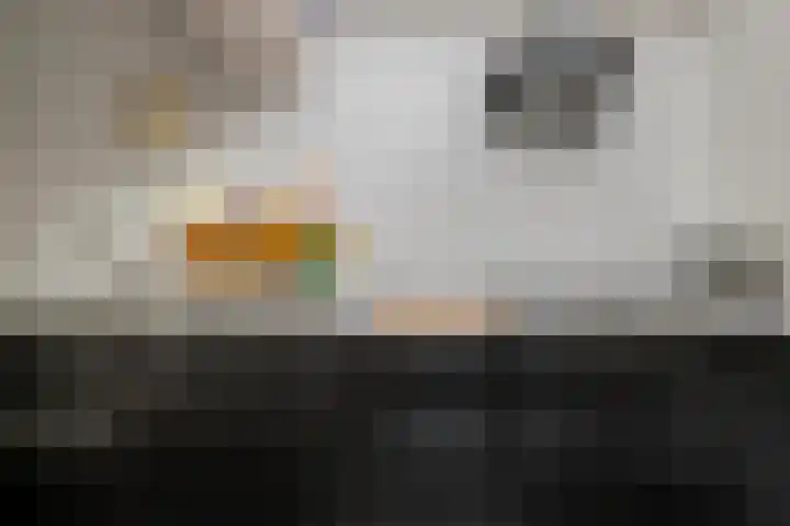 Klein Vlaanderen 3 A Middelburg thumbnail 33
