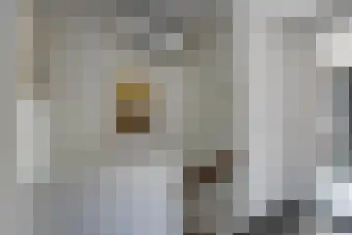 Klein Vlaanderen 3 A Middelburg thumbnail 37
