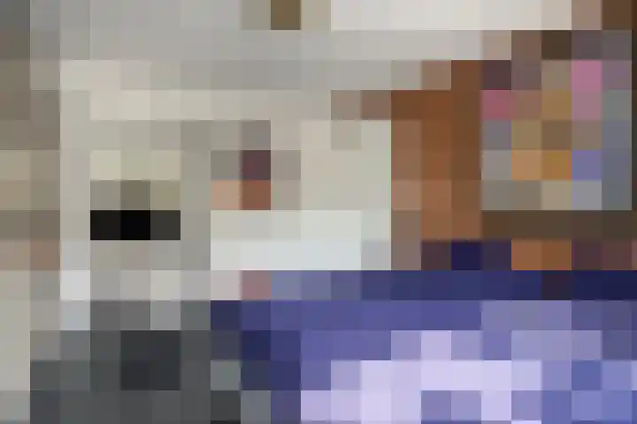 Klein Vlaanderen 3 A Middelburg thumbnail 39