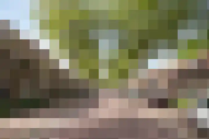 Klein Vlaanderen 3 A Middelburg thumbnail 4