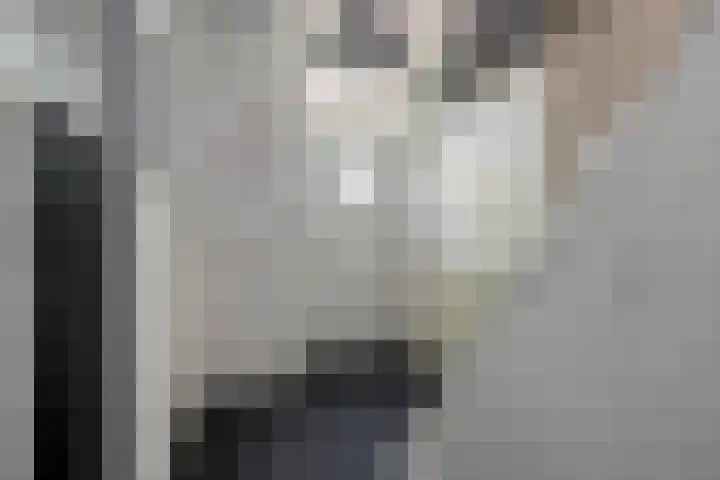 Klein Vlaanderen 3 A Middelburg thumbnail 5