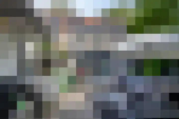 Klein Vlaanderen 3 A Middelburg thumbnail 51