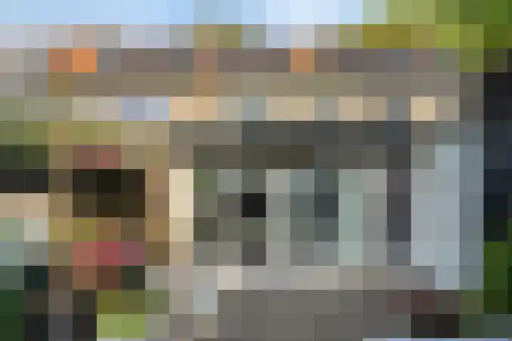 Klein Vlaanderen 3 A Middelburg thumbnail 52