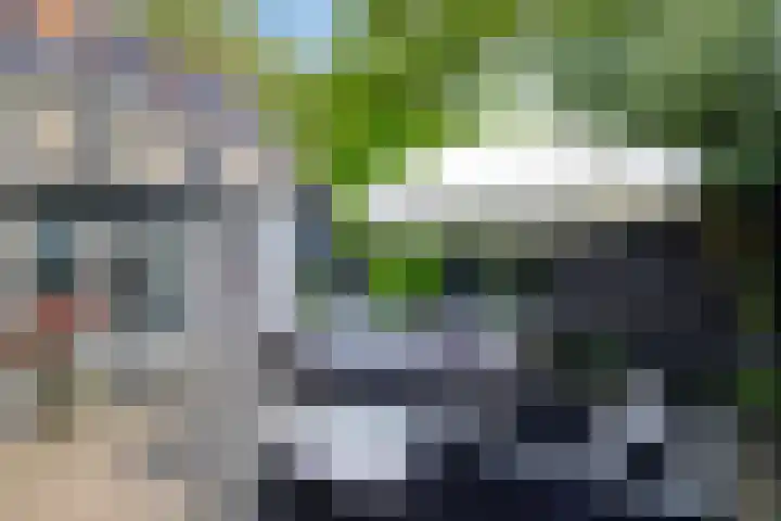 Klein Vlaanderen 3 A Middelburg thumbnail 53