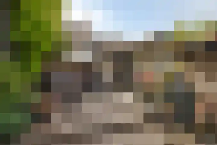 Klein Vlaanderen 3 A Middelburg thumbnail 54