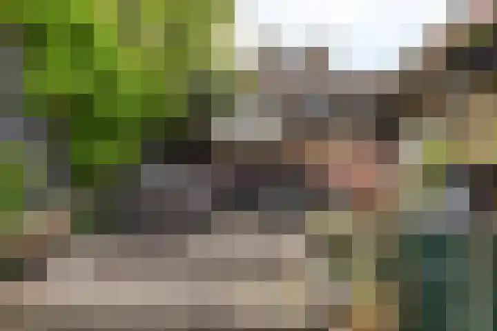 Klein Vlaanderen 3 A Middelburg thumbnail 55