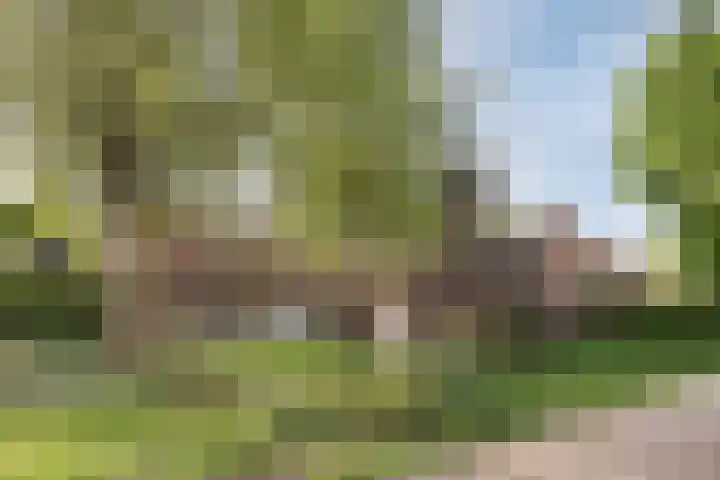 Klein Vlaanderen 3 A Middelburg thumbnail 57