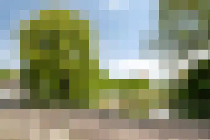 Klein Vlaanderen 3 A Middelburg thumbnail 58