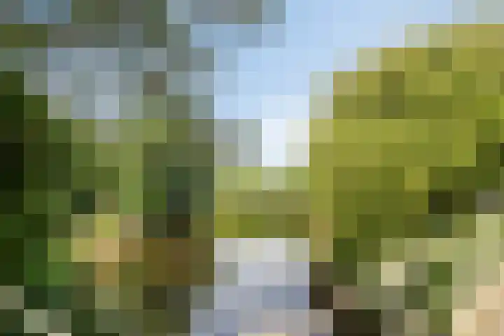 Klein Vlaanderen 3 A Middelburg thumbnail 59