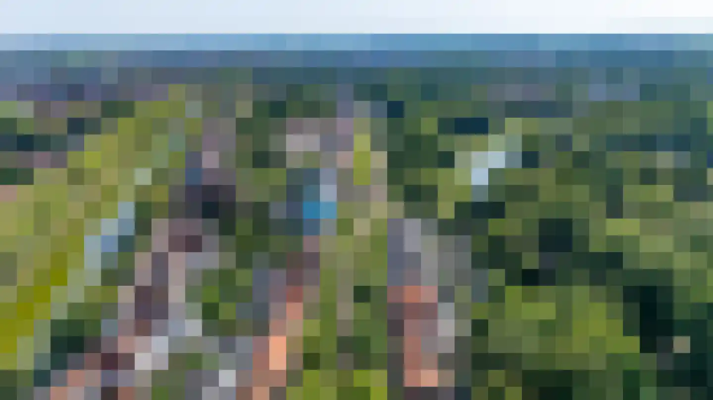 Klein Vlaanderen 31 Middelburg thumbnail 4